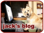 Jack's Blog